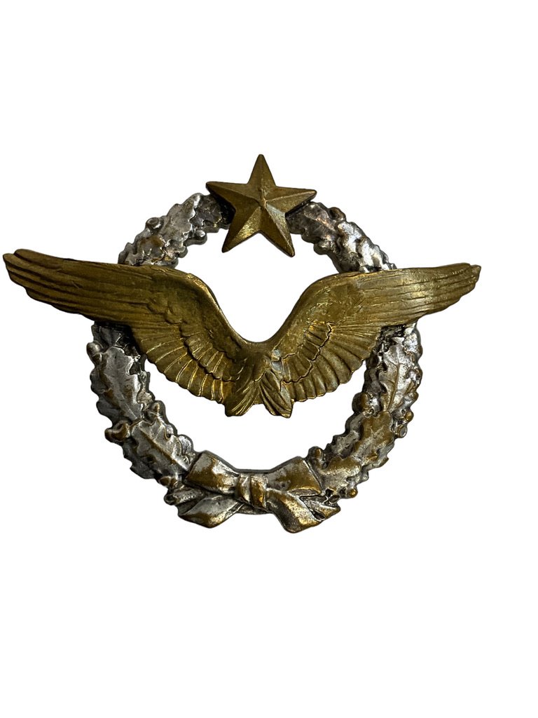 France French Air Service Pilots Badge Drago