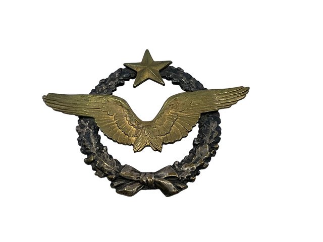 WW1 French France Pilots Badge Numbered
