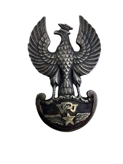 WW1 Polish Poland Army Aviation Cap Badge 1918-1922